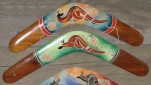Super mix boomerangs