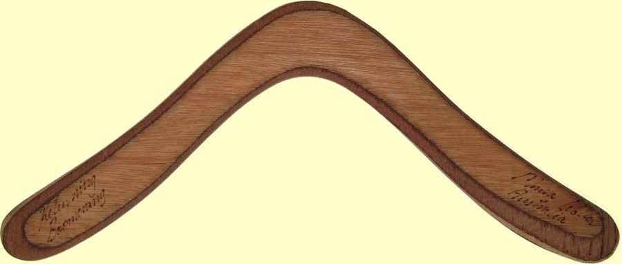 sports boomerang