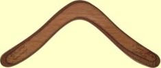 sports boomerang