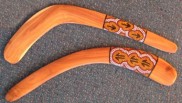 Root hunting boomerang