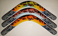 Sports boomerang Pelican